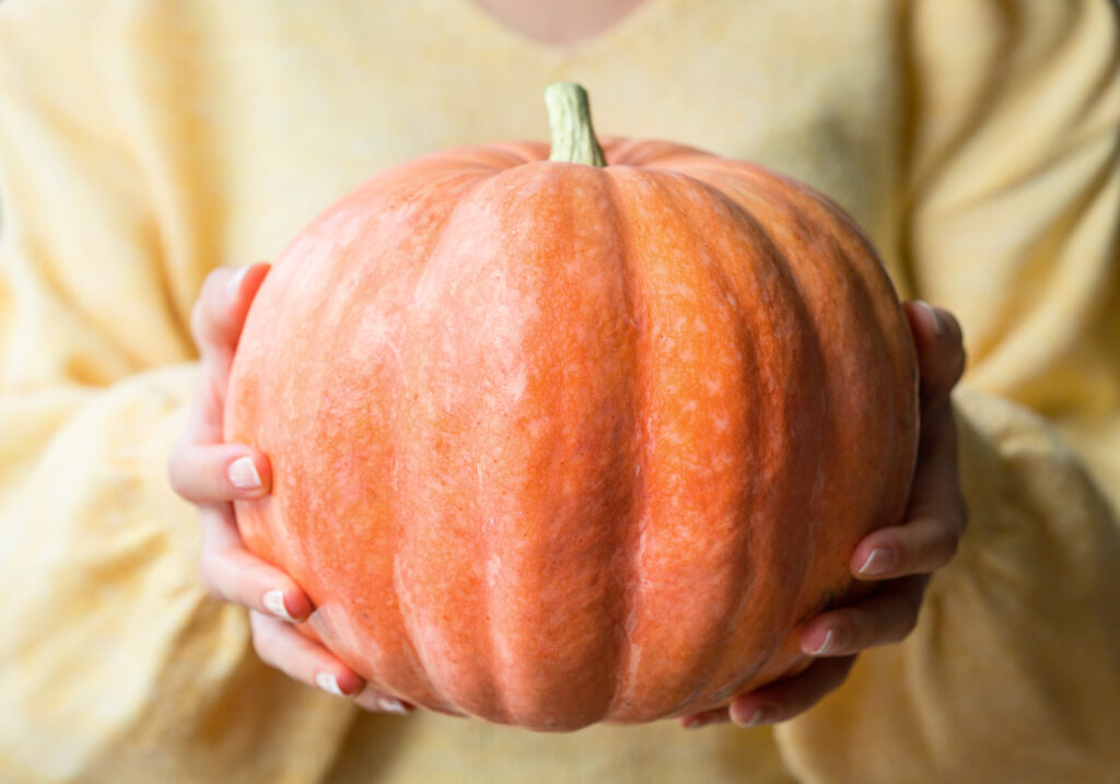 Person in yellow sweater holding an orange pumpkin.