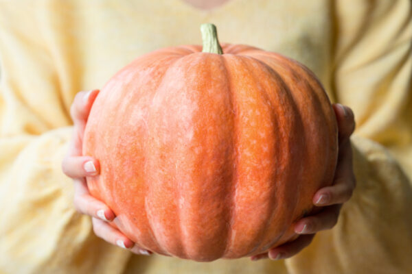 Person in yellow sweater holding an orange pumpkin.