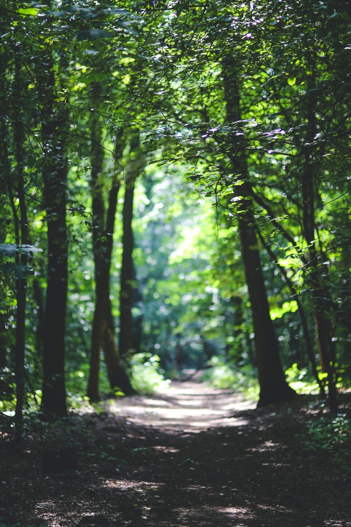 Pinelands Recovery Center of Medford - Path